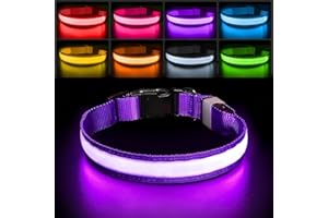 PcEoTllar Collar Luminoso Perro, Collar Luces Perro Recargable, Collar LED Perro Luz Impermeable y 7 Colores, Ajustable Iluminación Collares LED para Perros Pequeño Mediano Grand, Morado-S