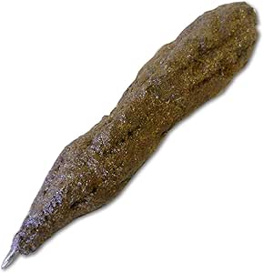 Poo Stuhlgang Gag Joke Streich lustig Streich Kot Erwachsene Jugendliche Neuheit Pen