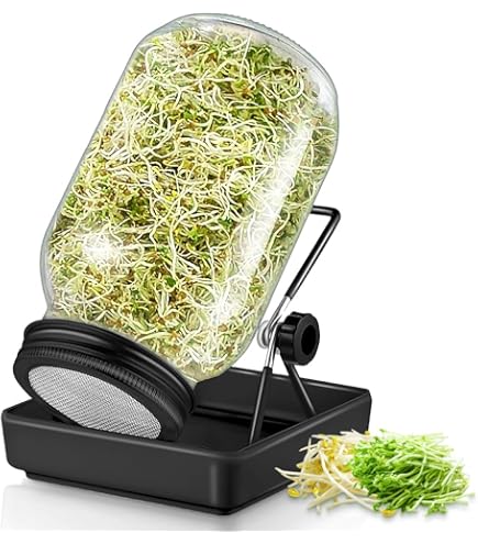 ZenGreens® - Set di semi di erbe bio - 15 varietà per una facile