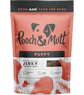 Enrichment Ideas And Food Dispensing Toys For Your Zen Dog - Zen Dog Training