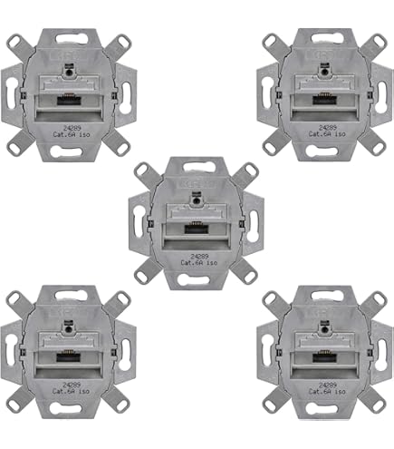 Busch Jäger, Rutenbeck inbouw netwerkcontactdoos Ethernet 10 Gigabit/S ( 10GbE) KAT6A 6A - 2xRJ45 aansluiting in BalanceSi alpinewit frame en UAE afdekking incl. EBROM fasector voor montage van het