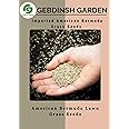 Gebdinsh Garden® Imported American Bermuda Grass Seeds For Garden & Sports Grounds | Fast Growing and Durable Bermuda Lawn Grass For Gardening | Pack Of 100 Seeds