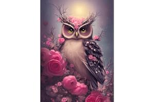 DAERLE Diamond Painting Strass Kit Complet, Fleur de Hibou Peinture Diamant Painting Diamant Broderie Diamant Kit Complet 5D Diamond Painting Peinture Diamant 5D Complet Hibou 30X40CM