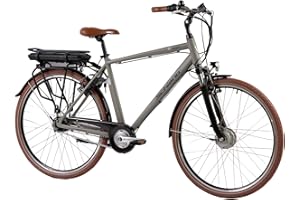 F.lli Schiano E-Moon, Bici Elettrica da Trekking 28 Inches per Adulti, 36V 13Ah Batteria Rimovibile, Motore 250W 40Nm, Trekking Ebike, Grigio da Uomo