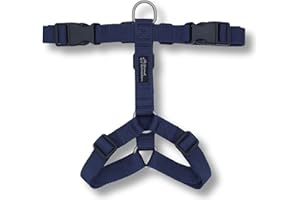 Animal Connection Pettorina ad H per Cani. 5 Punti di Regolazione. Disponibile in Tanti Colori. Leggera e Resistente. (M+, Blu)