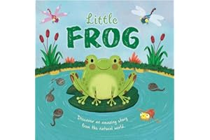 Little Frog (An illustrated story about the life-cycle of a frog)