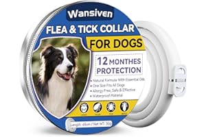 Wansiven Collier Anti Puces pour Chien, 65cm Réglable Collier Anti-Puces et Tiques pour Chiens et Imperméable, 12 Mois Collier Antiparasitaire pour Chiens