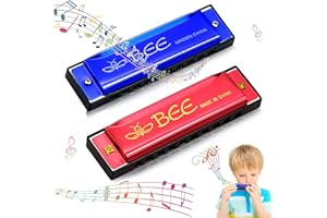 LGZIN 2 Stück Mundharmonika, Harmonika, Mundharmonika für Kinder, Mundharmonika C-Dur, 10-Loch diatonische Harmonika, Major Blues Harmonika, Standard Mundharmonikas, für Student, Anfänger und Profis