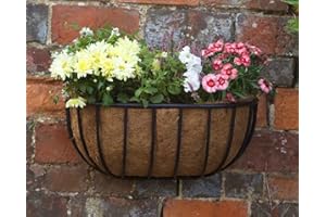 Smart Garden Forge Wall Manger Planter with Coir Lining. Classic Design. 20" wide