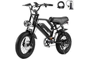 VDL Bicicletta Elettrica 14"-16", E-Bike da 36V 6,4/11,4/13Ah Batteria Rimovibile, Città Pendolare Ebike con Display LCD, Freni a Disco Meccanici Anteriori e Posteriori