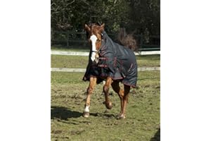 Rhinegold Aspen Full Neck Outdoor Rug