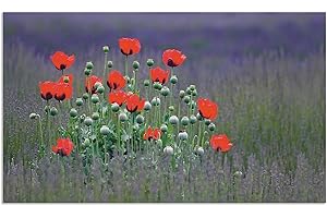 ARTland Spritzschutz Küche aus Alu für Herd Spüle 110x65 cm (BxH) Küchenrückwand mit Motiv Mohnfeld Blume Landschaft Natur Lavendel Mohnblume Rot S9AS