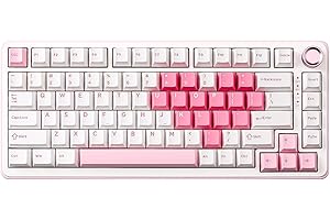 YUNZII B75 Pro Teclado Mecánico Inalámbrico,75% Teclado para Juegos Hot Swap Hot Swap Custom Teclado con Knob,Pre-lubed Switches RGB,BT/Tipo-C/2.4G Teclado (Blanco, Milk Switch)