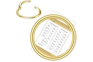 BERRY ONLY Nasenpiercing Ring 316L Chirurgenstahl, Septum Piercing Nasenring Silber/Gold/Rosé, Conch Piercing Ring Gold Daith Piercing Ohr Nostril Piercing Ring, Helix Piercings Ring Rook Piercing Körperschmuck