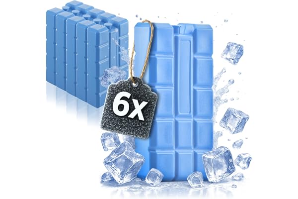 com-four® 6x Big Packs de glace - Éléments de refroidissement pour glacière et sac isotherme - Accumulateurs de froid pour la maison et les loisirs