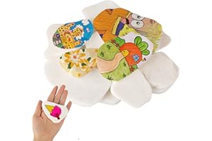 VIQIHEOE Lot de 12 Pierres Plates à Peindre, Galets Blancs Plats à Peindre, 3-8cm Galets Blancs, Pierres Décoratives Plats et Lisses, Grands Cailloux Lisses, pour Rivière, Plage, Artisanat, Décoration