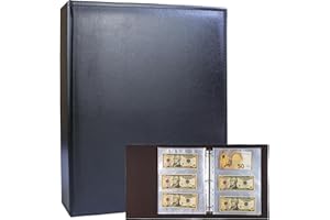 WITHYU Album A4 z 3 pierścieniami, ze skóry PU, organizer na banknoty, pieniądze zagraniczne i bilety, z 180 kieszeniami (zawiera 30 stron uzupełniających), bezpieczne i zorganizowane przechowywanie (czarny)