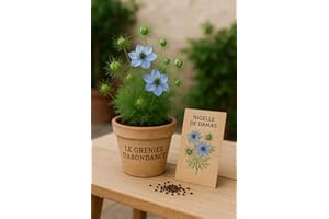 LE GRENIER D'ABONDANCE LES GRAINES QUI DONNENT ENVIE 350 graines à semer - Le Grenier d'Abondance - Nigelle de Damas - Nigella damascena