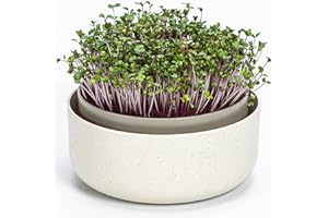 ‎PLASTIA Urbalive große Keimschale 16cm - Kresse Anzuchtschale für Sprossen, Kressesamen, Microgreens - Design Kressesieb aus hochwertigem Kunststoff - Keimsprossenbox Keimgerät mit Kaffeesatz-Beimischung