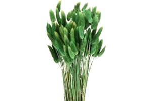 sourcing map 120pcs Natural Rabbit Bunny Tails Dried Flowers 17" Mini Pampas Grass Lagurus Ovatus Bunch for Floral Wedding Decor Christmas, Grass Green