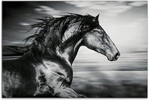Startonight Impression Sur Verre Acrylique Tableau - Beau Cheval Noir - Moderne Animaux Image pour la Décoration de la Maison 60 x 90 cm