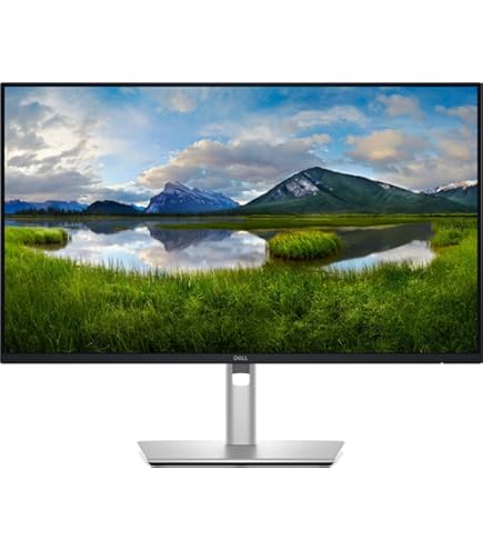 Dell 24 monitor USB-C P2421DC 60,5 cm 23 : Amazon.pl