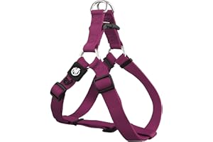 DDOXX Arnés Perro Step-In Nylon, Ajustable | Muchos Colores & Tamaños | para Perros Pequeño, Mediano y Grande | Accesorios Gato Cachorro | Violeta, S
