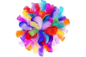 SECALIFE 100 Pieces Colorful Feathers for Crafts, Natural Goose Feathers Large Craft Feathers for DIY Handmade Crafts Gift Box Filling Ornament Decoration, 5-8cm