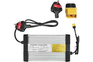 YZPOWER 84V 5A Battery Charger For Electric Motorcycle, 72V 20S Lithium Battery Pack Universal Fast Charger For Electric Motorbike, Motorcycle, XT60 Connector - UK Plug