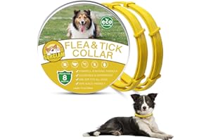 SURGLAM Collare Antiparassitario per Cani, Collare Antipulci Cane, Collare Antipulci e Zecche per Cani, Collare Regolabile Impermeabile, 8 Mesi di Protezione per Tutti i Tipi di Cani, 70 cm Taglia Unica