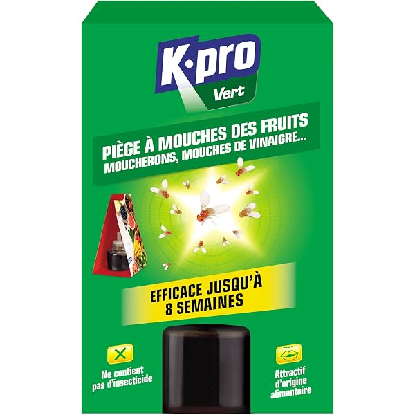 Lot De 4 Appâts Tue-mouches CATCH EXPERT - Plaques Discrètes Avec Granules Attractives - Efficace 6 Semaines - Sans Insecticide Volatile - 10