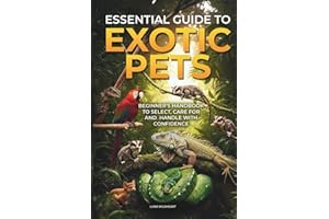 Essential Guide to Exotic Pets