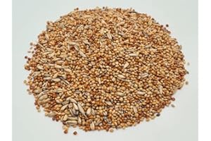 Futterbauer 25kg Wellensittichfutter