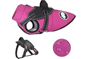 KORJOEE wasserdichte Hundemantel mit Abnehmbarem Geschirr, Winter Warme Hundejacke für Kleine und Mittlere Große Hunde, Reflektierende Winterhundkleidung für Teddy Chihuahua Bulldogge Labrador