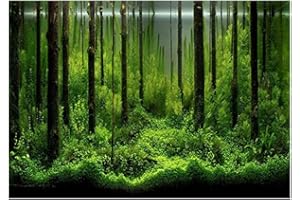 YOUTHINK Dekoracyjny plakat akwarium, tło akwarium, tło dekoracyjne, papier akwarium, las, tło do akwarium, tło dekoracyjne, papier PCW (61 x 30 cm)