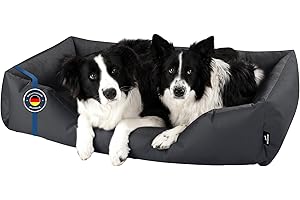 BedDog Cuscino Cane XXL - Cuccia Cane Interno Taglia Piccola - Cuccia per Cani - Lettino per Cani - Letto per Cani in Tessuto Alicante e Cordura - Cucce per Cani da Interno