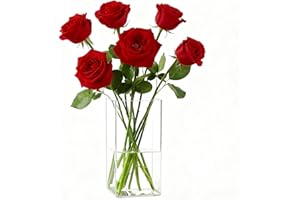 Koelaa Vase à Fleurs en Acrylique Transparent, Vase Carré en Plastique Incassable - Vases Moderne pour Fleurs, Décorations de Table Moderne, Centres de Table - Cadeau Femme/Anniversaire - 10 x 25cm