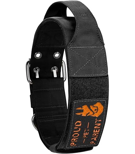 Collar Perro Grande Collar Ancho Para Perros Grandes – 5 Cm De Ancho, Acolchado De Neopreno, Talla 43-56 Cm Collar Con Asa Agarre