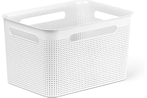 Rotho Brisen caja grande de almacenamiento de 16l con 4 asas, Plástico (PP) sin BPA, blanco, 16l (36.0 x 26.2 x 21.1 cm)