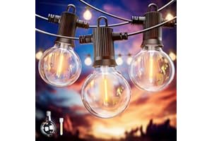ZOTOYI Catena luminose Esterno LED, 7.6M/25FT G40 Luci Esterno Catena Luminosa con 12+1 Lampadine Infrangibile, Impermeabile IP65 per Giardino Casa Festa Natale Terrazza Matrimonio Partito