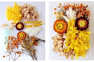 GANMFOYC 1 Boxes 10 kinds of flowers Real Dried Flowers Natural Dry Flowers Leaves Colorful Real Dried Flower Plant DIY Crafts Materials Dried Floral for DIY Resin Pendant and Home Decorations (A)