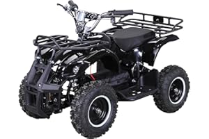 ‎ACTIONBIKES MOTORS Actionbikes Motors Kinder Quad Elektro ATV Torino | 𝟑𝟔 Volt 𝟭𝟬𝟬𝟬 Watt Motor bis 𝟐𝟒 km/h - Kinderquad - Pocket Quad - Safety Touch Fußschalter - Miniquad - Für Kinder ab 8 Jahren (Schwarz)