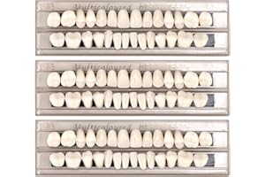 ELKFLEE 84PCS False Teeth Acrylic Resin Dental Fake Teeth 3 Sets Denture False Tooth Synthetic Polymer Resin Upper + Lower Temporary Crowns Replacement Fake Tooth for Halloween Makeup Cosplay Horror Prop