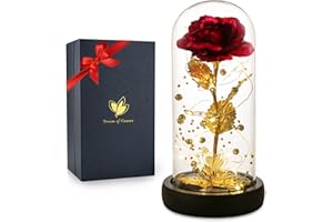 Dream of Flowers Rouge Rose Artificielle colorée La Belle et la Bête, lumières LED colorées dans Le dôme en Verre, Cadeau Unique, Saint-Valentin, fête des mères, Anniversaire de Mariage