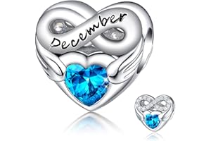 FOREVER QUEEN Women's Heart Birthstone Charm for Bracelet 925 Sterling Silver Heart Infinity Charms Bead, Birthday Gift With Jewelry Box