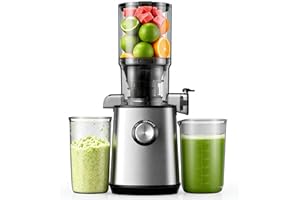 LEAPHEN Cold Press Juicer with 110 MM Large Feed Chute, Masticating Juicer Machines Fits Whole Fruits and Vegetables, Self Feeding Slow Juicer with Low Noise, Easy to Clean, Silver