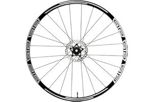 DualColorStampe Autocollants pour jantes de vélo 26" - 27,5" - 28-29" Pouces Roue de Vélo VTT Stickers Jantes VTT Accessoires VTT B0048 (26" Pouces, Argent)