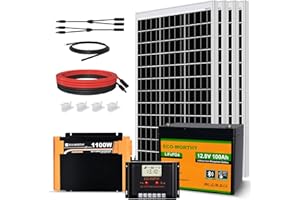 ECO-WORTHY 480W 12V 2 kW·h Solaranlage Komplettset Inselanlage Netzunabhängiges Kit: 4 Stücke 120W Solarmodul + 60A Laderegler + 1 Stücke 100Ah Lithiumbatterie + 1100W Wechselrichter