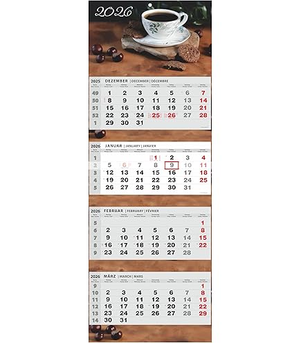 Sea Life Souvenirs - Maandkalender 2023 - De Haan Aan Zee Fotokalender 2023 12 Maanden Kalender Rijk Geillustreerd Din A4 21 X 29 7 Cm Niet Voorzien Van Weeknummers