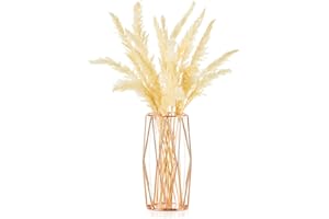 GLASSEAM Glass Flower Vase with Geometric Metal Rack Stand, Small Vases for Pampas Grass, Centerpiece for Living Room Dinning Table Wedding, Rose Gold, 21.5cm Height